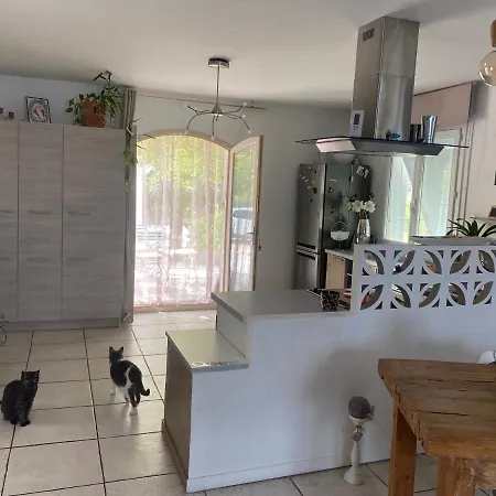 Zen Avec 2 Chats